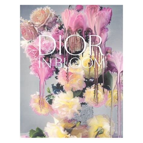 dior abn